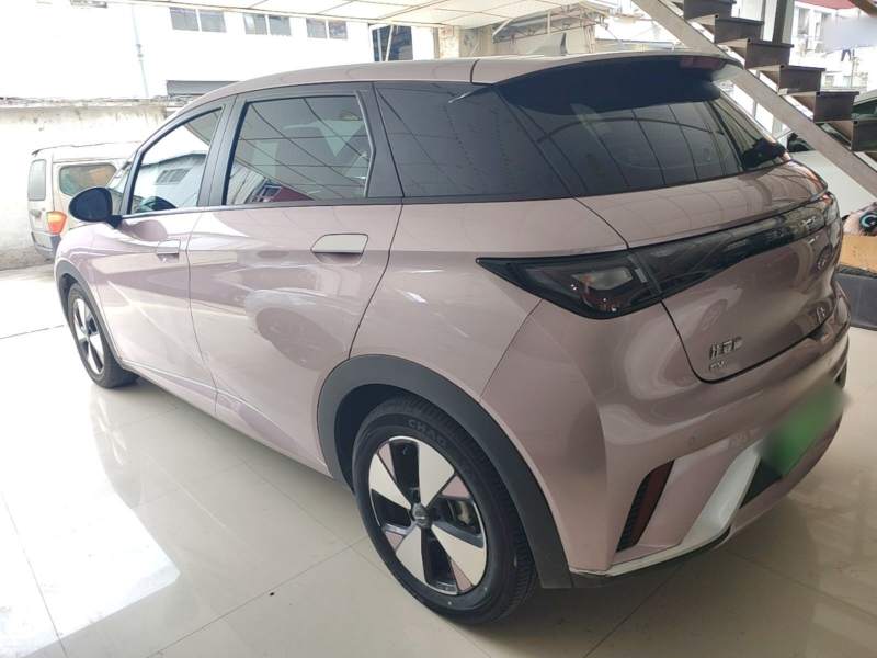 Used BYD Dolphin 2023 420 km Fashion Edition — 4