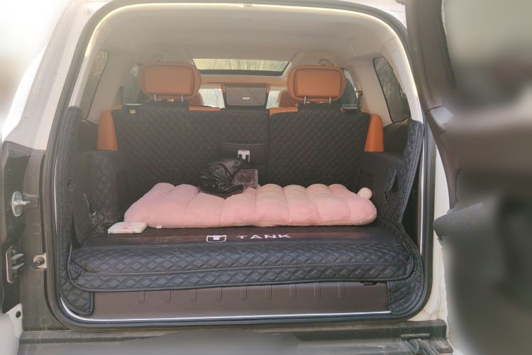 Used Tank 500 New Energy 2023 Hi4-T Trunk