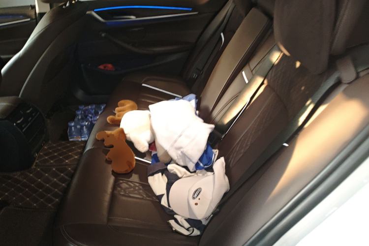 Used BMW 5 Series New Energy 2020 Mileage Upgrade Version 530Le Luxury Package
