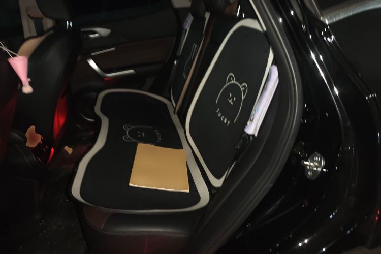 Used Wey VV5 2021 1.5T Two-Wheel Drive Smart Pioneer Left Rear Seat