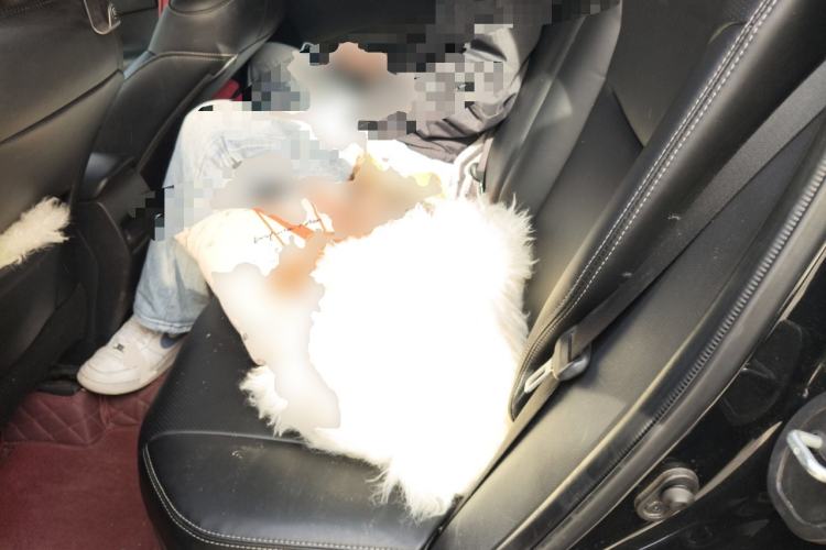 Used Toyota Corolla Cross 2023 2.0L Pioneer Edition