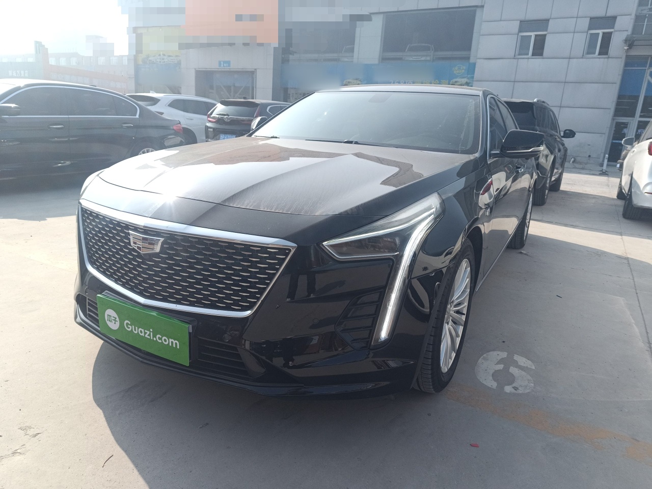 Parte inferior delantera