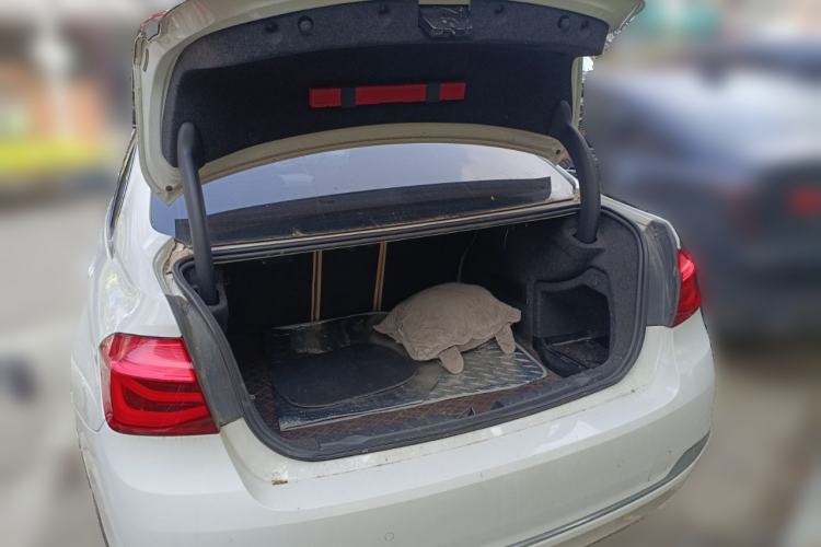 Used BMW 3 Series 2016 320Li Ambition Model
