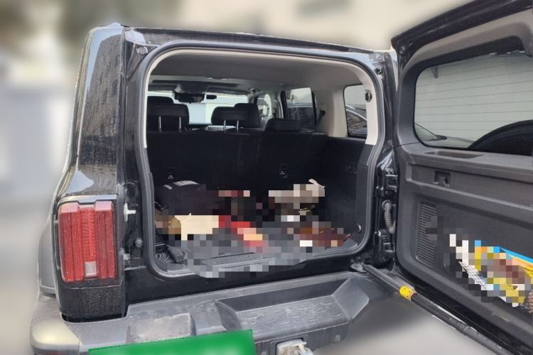 Used Tank 300 2021 Off-Road Edition 2.0T Conqueror