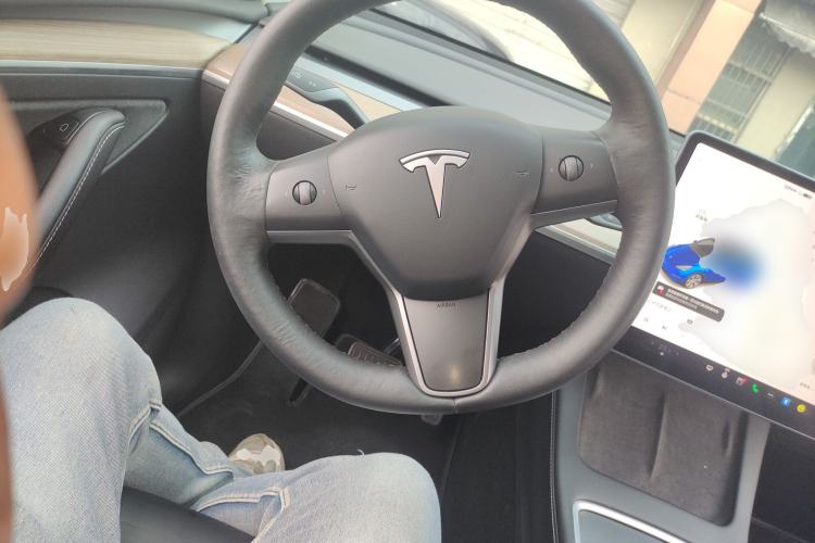 Used Tesla Model Y 2021 Standard Range Rear-Wheel Drive Version
