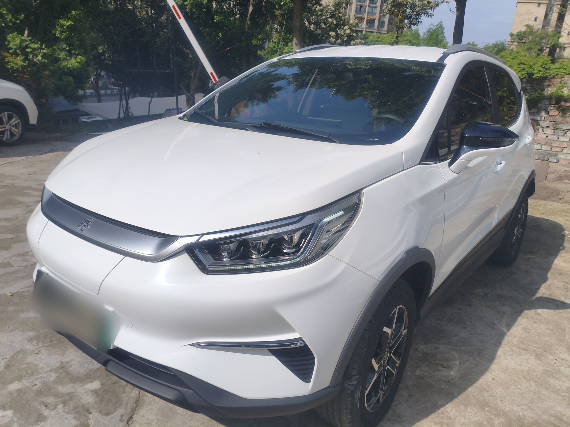 Parte inferior delantera