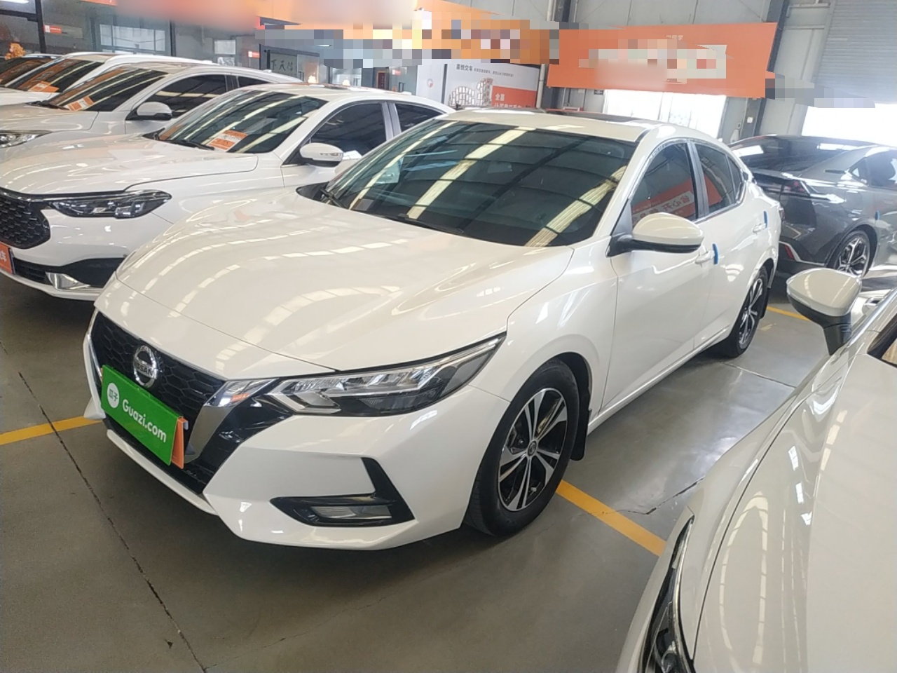 Parte inferior delantera