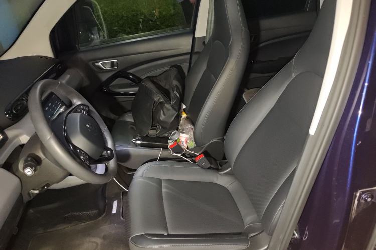 Used Leapmotor T03 2020 400 Luxury Edition Left Front Seat