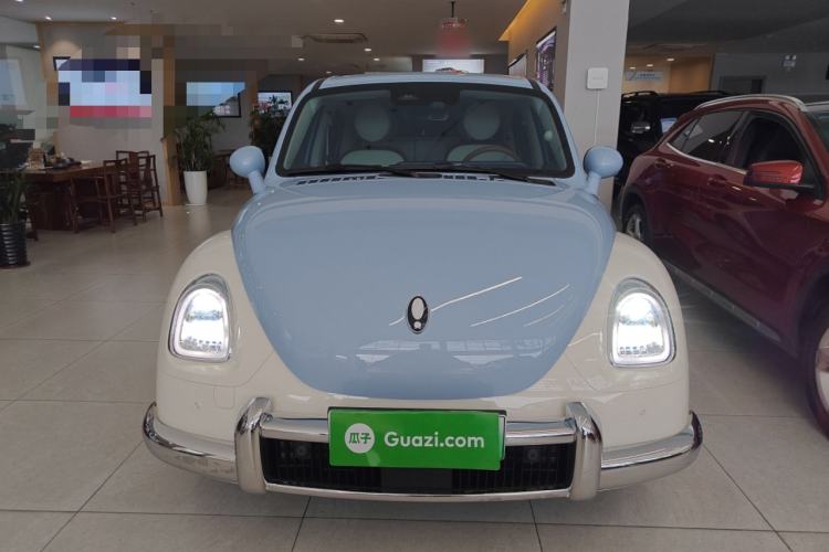 Used ORA Ballet Cat 2023 401 km Luxury Version
