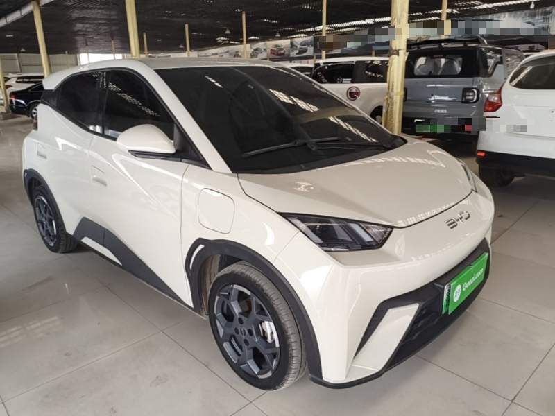 Used BYD Seagull 2025 305 km Free Version — 3