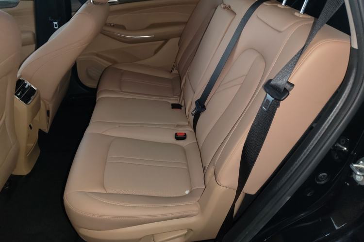 Used Landian E5 2024 Honor Edition 100KM Deluxe 7-Seater