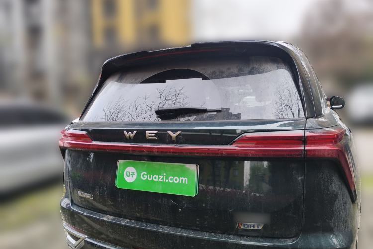 Used Wey Lanshan 2023 Four-Wheel Drive Ultra-Long Range Version Rear