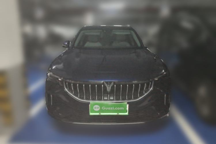 Used VOYAH FREE 2021 Four-Wheel Drive Standard Range-Extended Exclusive Luxury Package Front