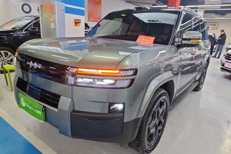 Used Formula Leopard Tai 7 2025 Model 190 km Four-Wheel Drive Ultra Edition