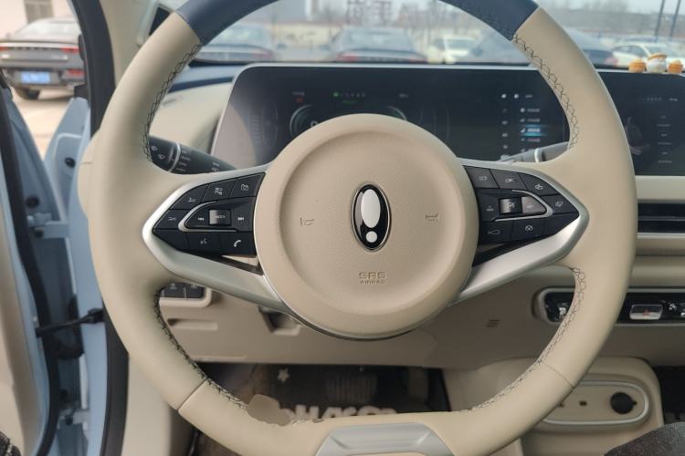 Used ORA Good Cat 2024 401 km Luxury Version 126 kW Steering Wheel