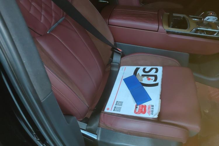 Used Hongqi E-HS9 2021 460 km Range Flagship Edition Six-Seater Right Front Seat