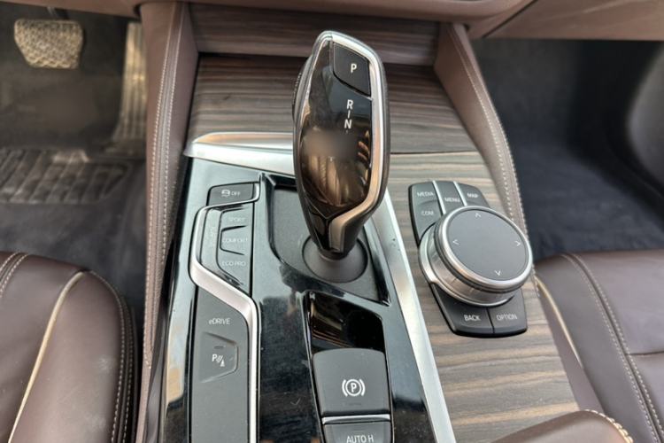 Used BMW 5 Series New Energy 2020 530Le Luxury Package
