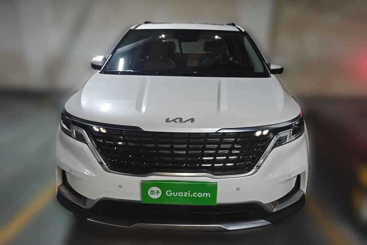 Used Kia Carnival 2021 2.0T Flagship Edition