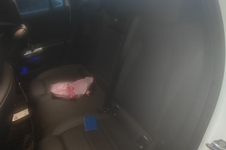 Used Mercedes-Benz GLA 2022 GLA 200 Left Rear Seat