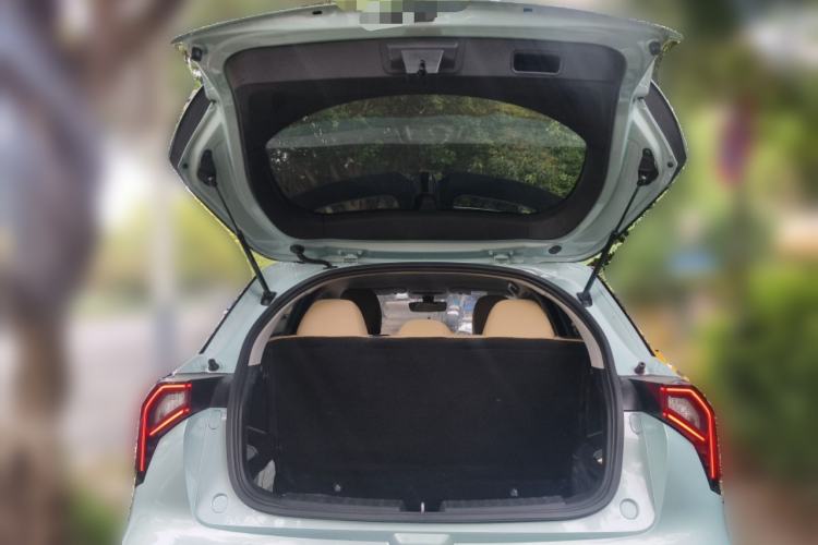 Used Geometry E Firefly 2024 301km Flowing Light
