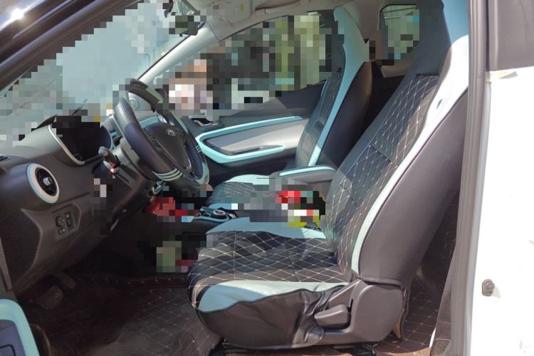 Used Chery QQ Little Ant 2021 200 000-Yuan Ant Fan Edition Talent Version NMC Battery 301 km Left Front Seat