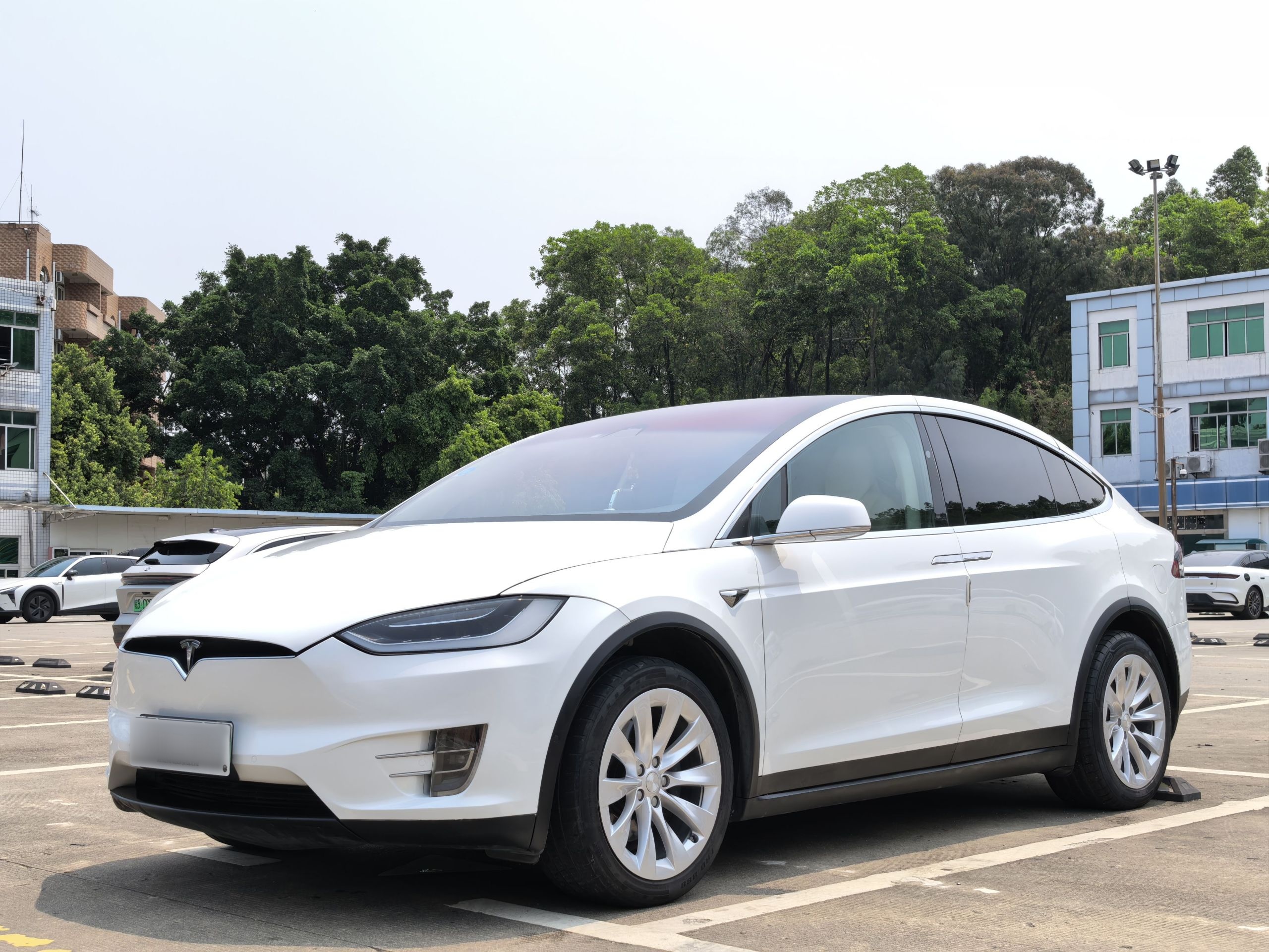 Parte inferior delantera