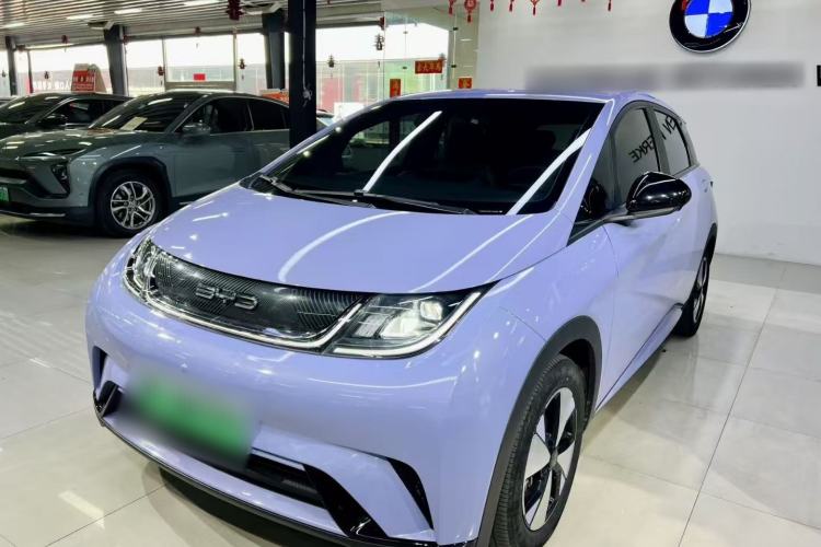 Used BYD Dolphin 2023 420 km Free Version