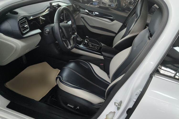 Used BYD Qin PLUS 2021 EV 400KM Luxury Model Left Front Seat