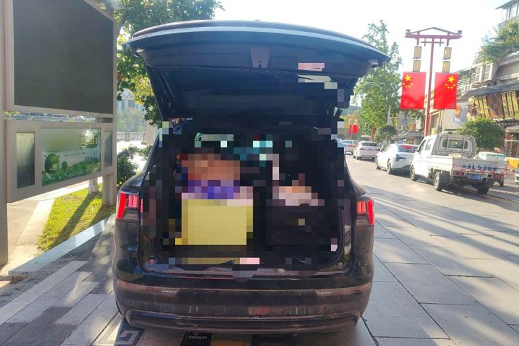 Used Lynk & Co 09 EM-P 2023 2.0TD EM-P Long-Range Version PM 7-Seater