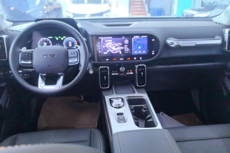 Used Haval DARGO 2024 2.0T DCT Chinese Rural Dog Edition
