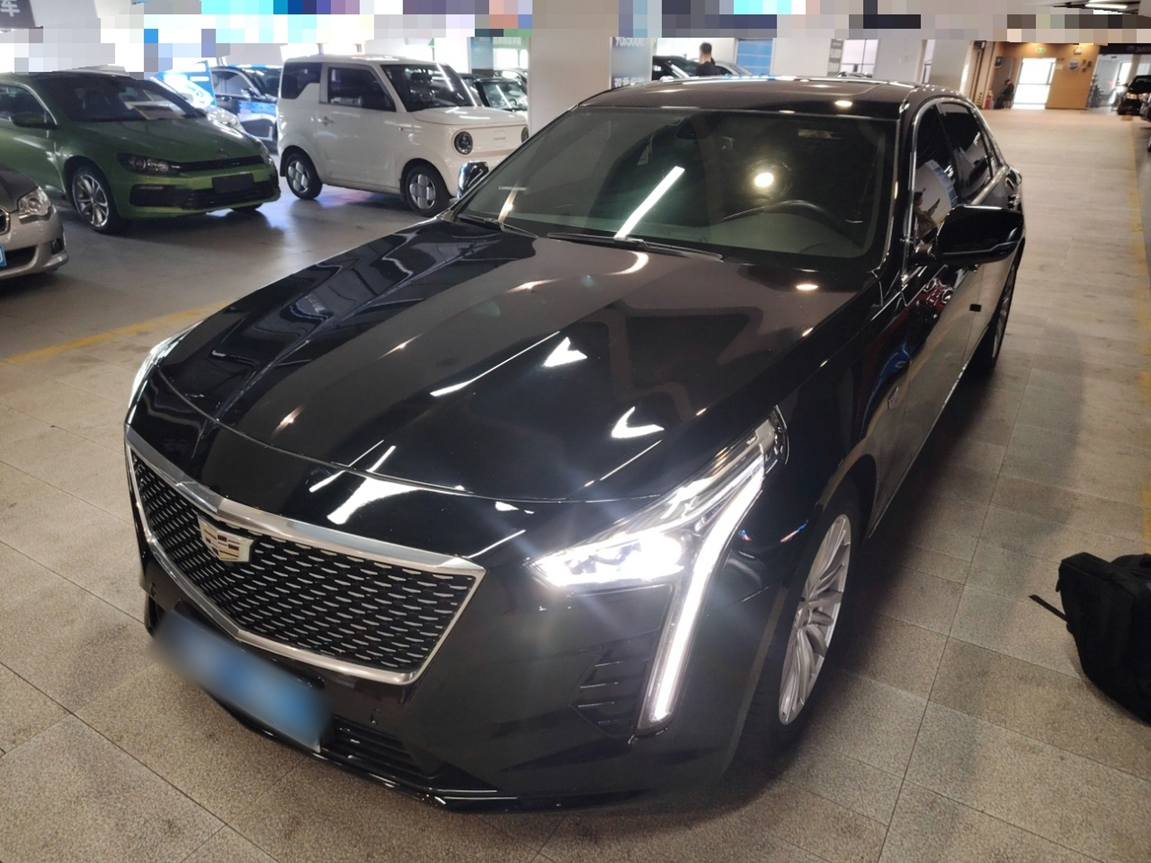 Parte inferior delantera