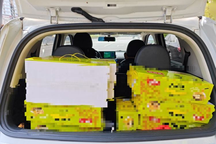 Used ORA White Cat 2020 305 km Luxury Version