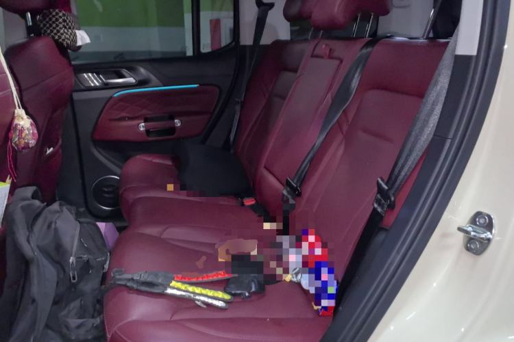 Used Tank 300 2025 2.0T Conqueror