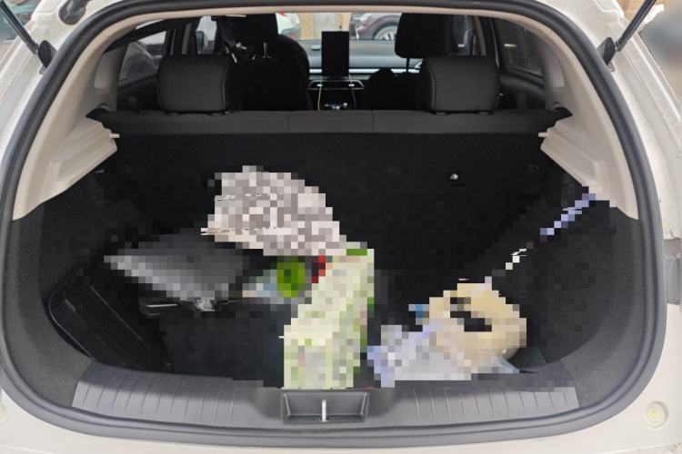 Used BYD e2 2021 Comfort Model