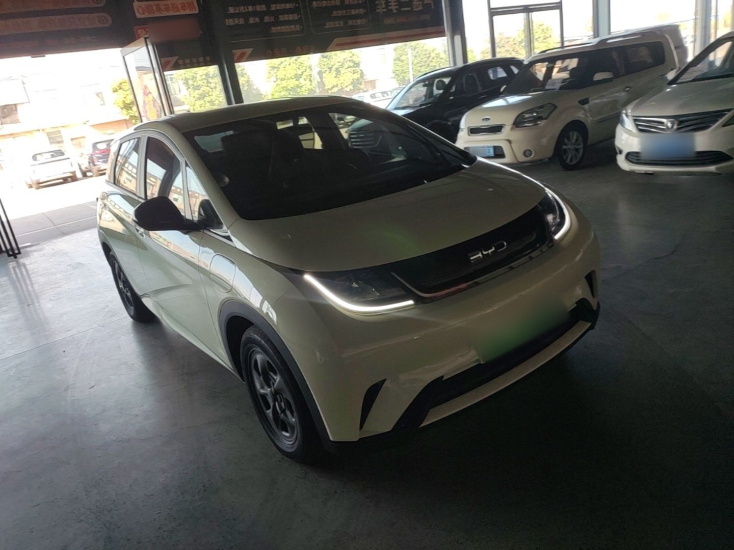 BYD Dolphin 2024 Honor Edition 302km Dynamic Version — снимка 3
