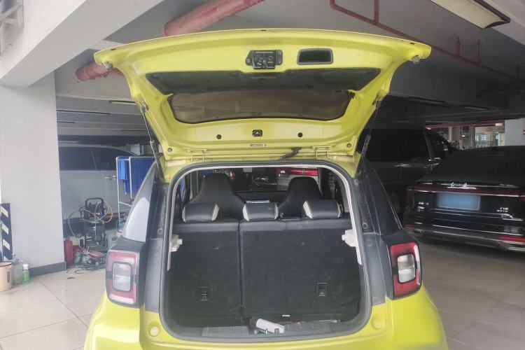 Used SOL E10X 2022 Flower Fairy Design Four-Leaf Clover