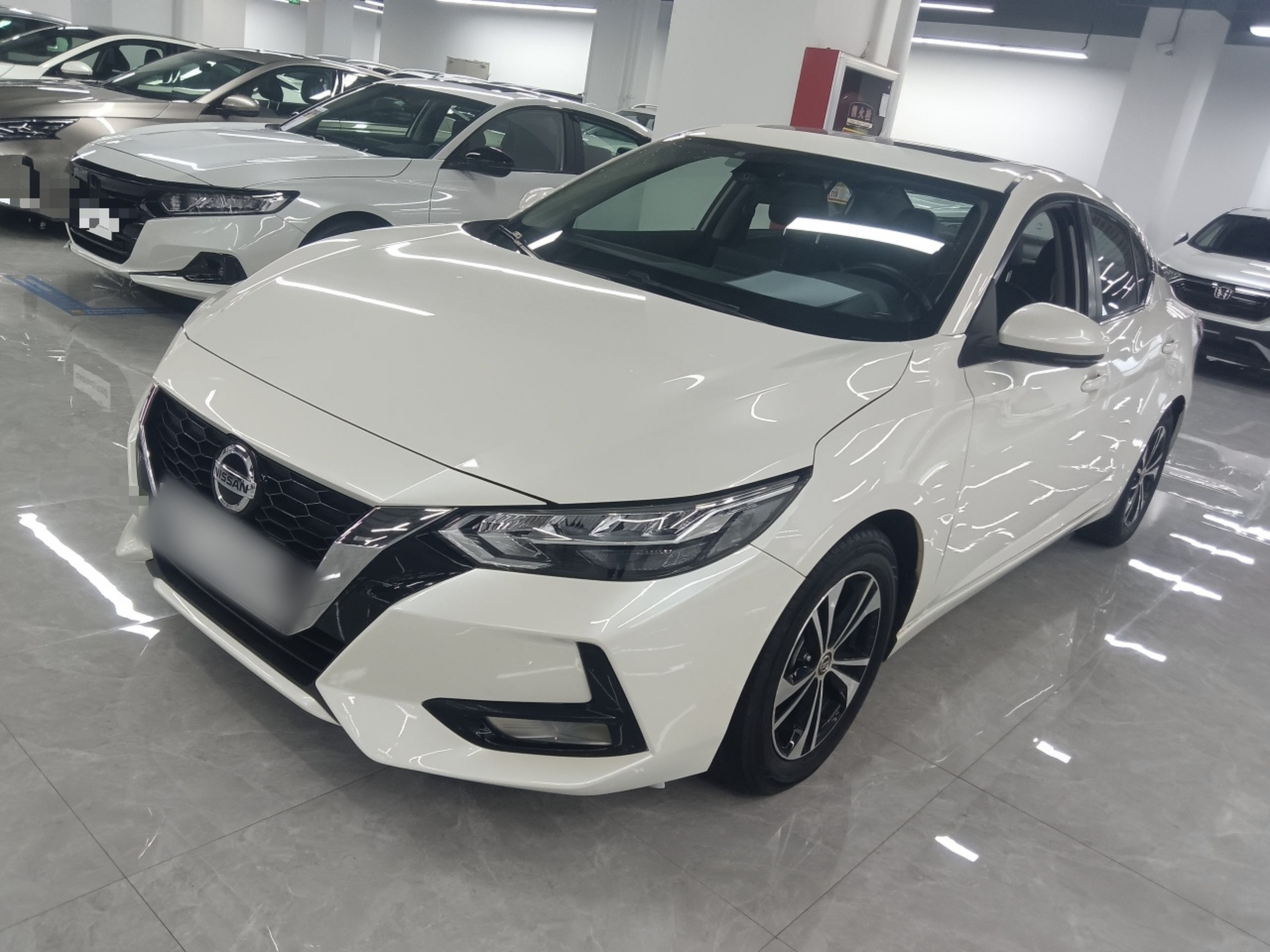 Parte inferior delantera