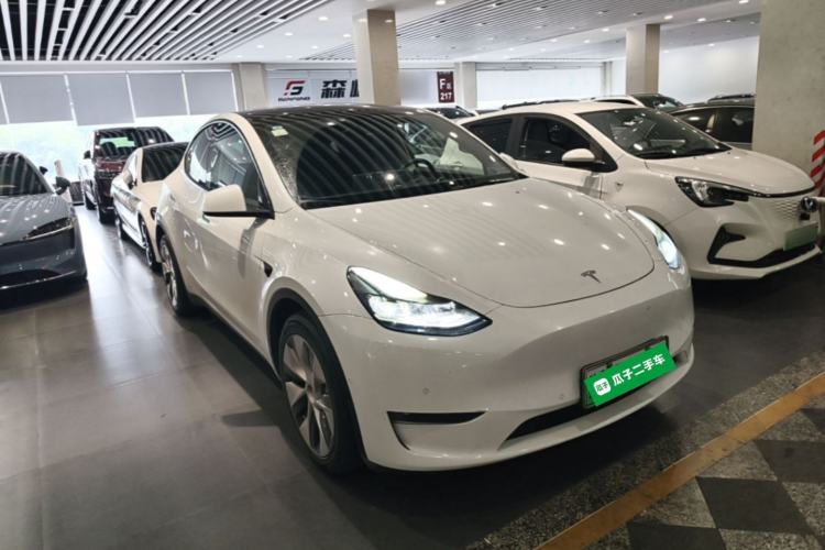 Used Tesla Model Y 2021 Standard Range Rear-Wheel Drive Version