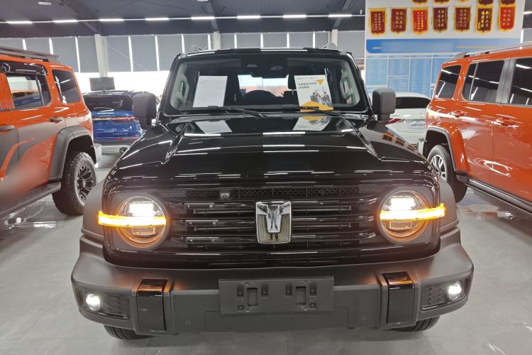 Used Tank 300 2024 2.0T Conqueror