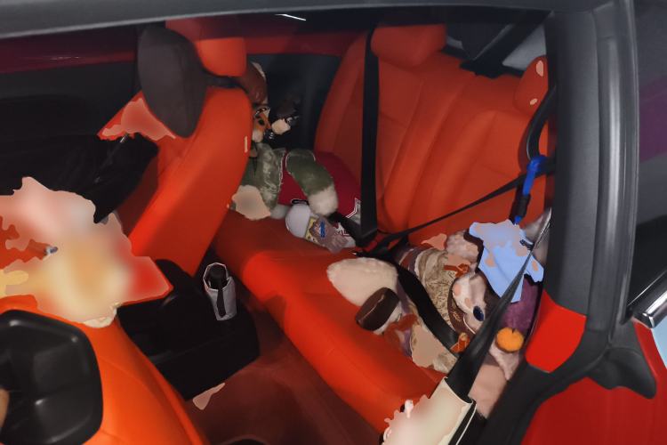 Used Volkswagen Beetle 2017 280TSI Zongle Edition Left Rear Seat