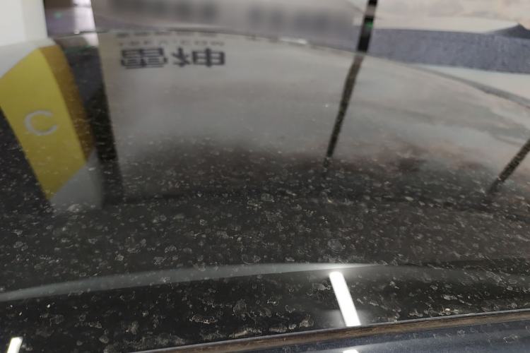 Used Tesla Model Y 2025 Long-Range All-Wheel Drive First Edition Roof