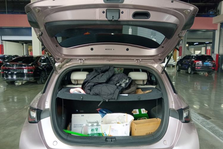 Used BYD Dolphin 2021 405 km Fashion Edition Trunk