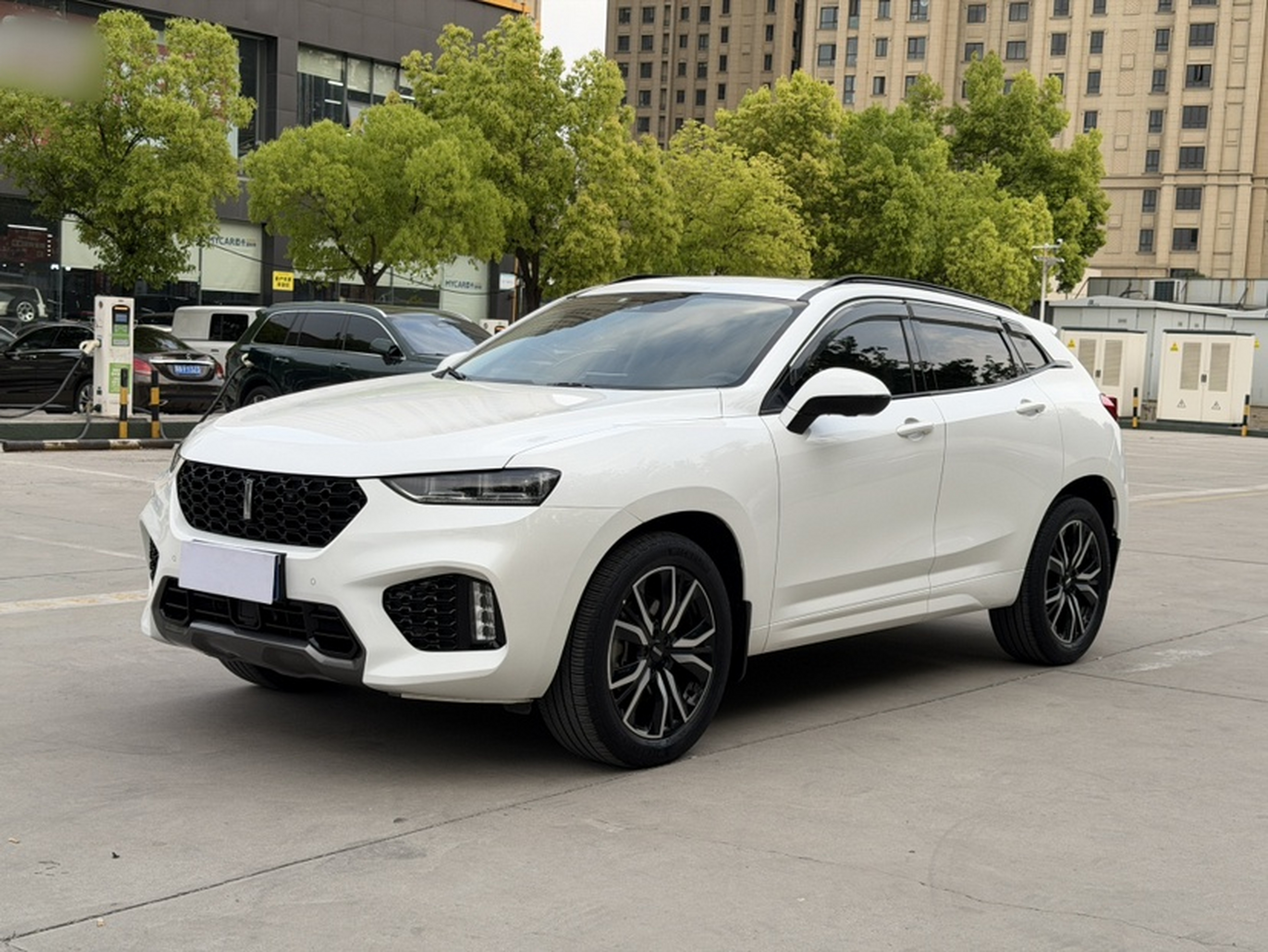 Parte inferior delantera