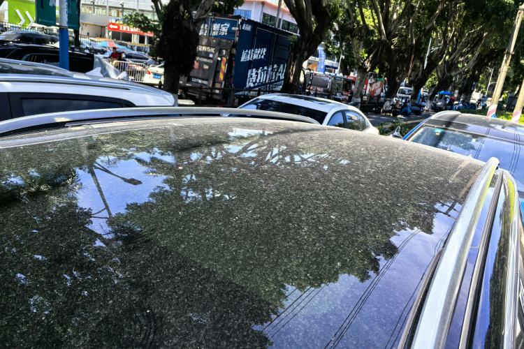 Used Volkswagen ID.6 CROZZ 2022 High-Performance PRIME Edition Roof