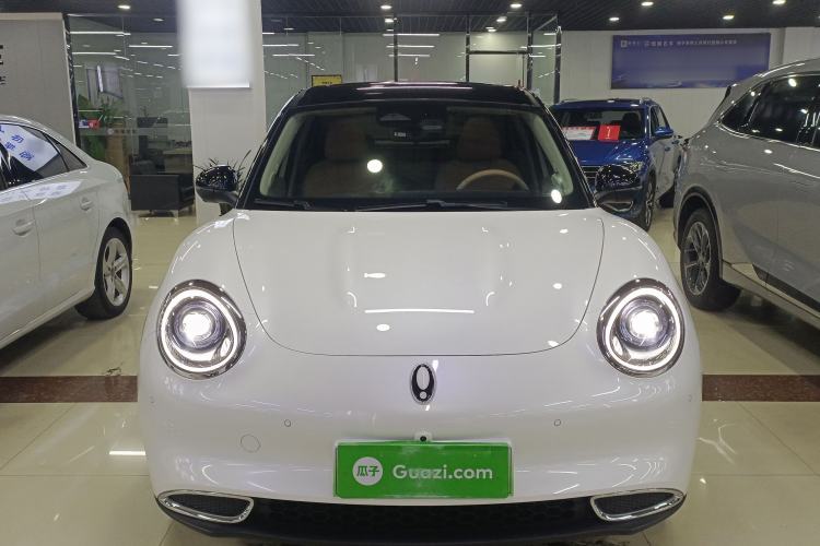 Used ORA Good Cat GT 2024 Mulan Edition 401 km Range Prestige Version 135 kW
