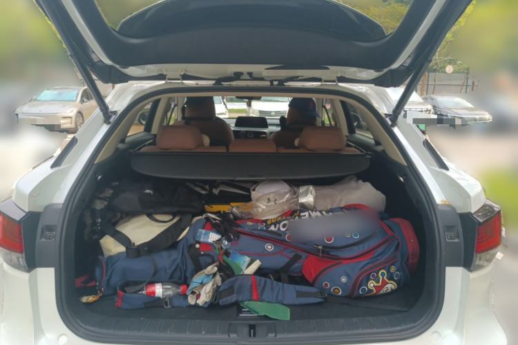 Used Lexus RX 2020 300 Two-Wheel Drive Comfort Edition China VI Standard Trunk