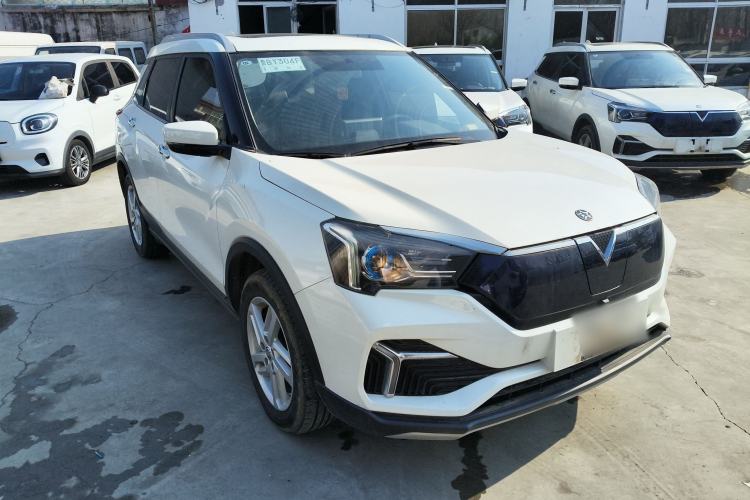 Used Venucia T60EV 2020 AI Enjoyment Model
