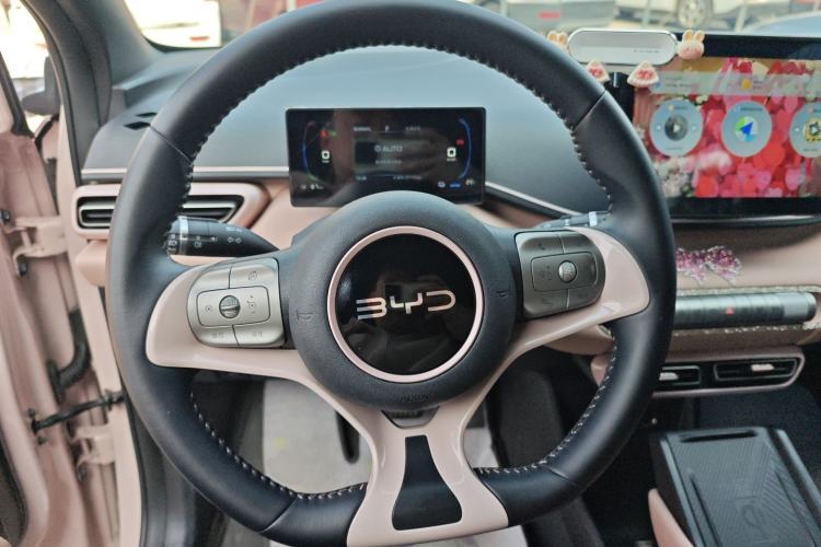 Used BYD Seagull 2024 Honor Edition 305km Freedom Version
