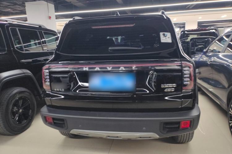 Used Haval DARGO 2024 2.0T DCT Chinese Rural Dog Edition
