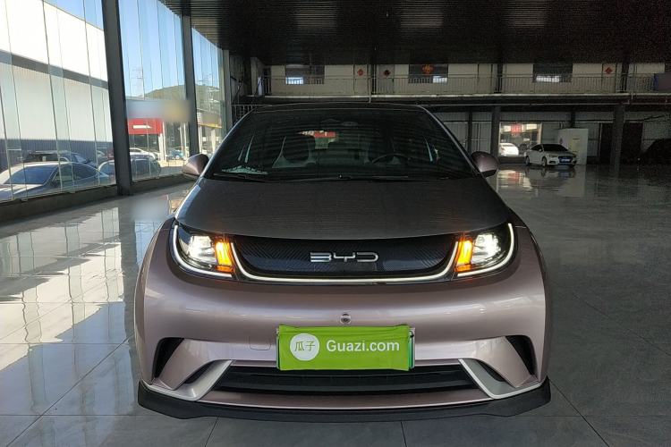 Used BYD Dolphin 2021 401km Knight Edition
